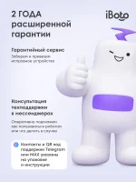iBoto Win 350 Mini — изображение 17
